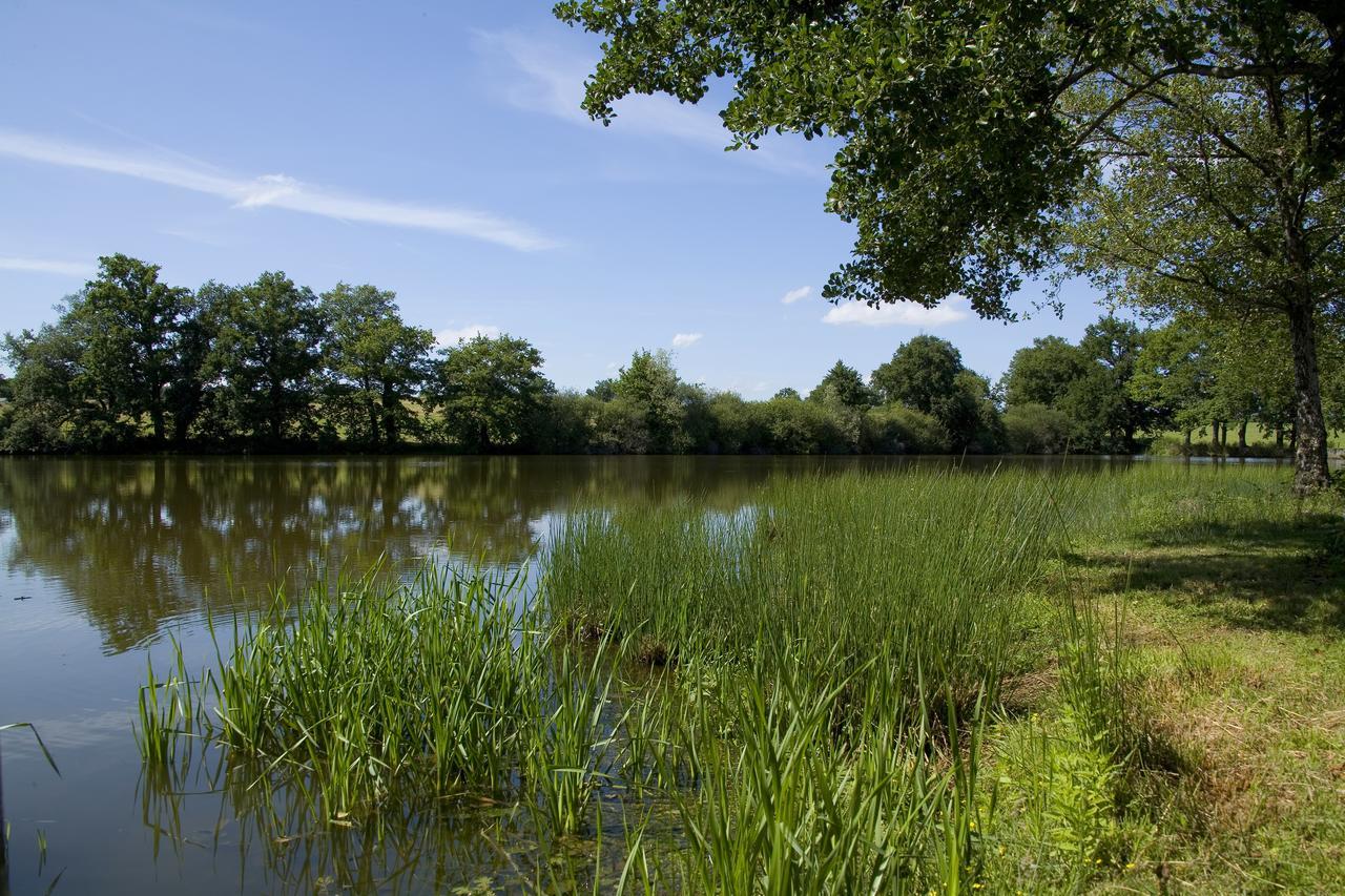 La Maison Du Lac Thionne Exteriör bild